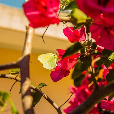 Hotel Melissa Corfu (city)